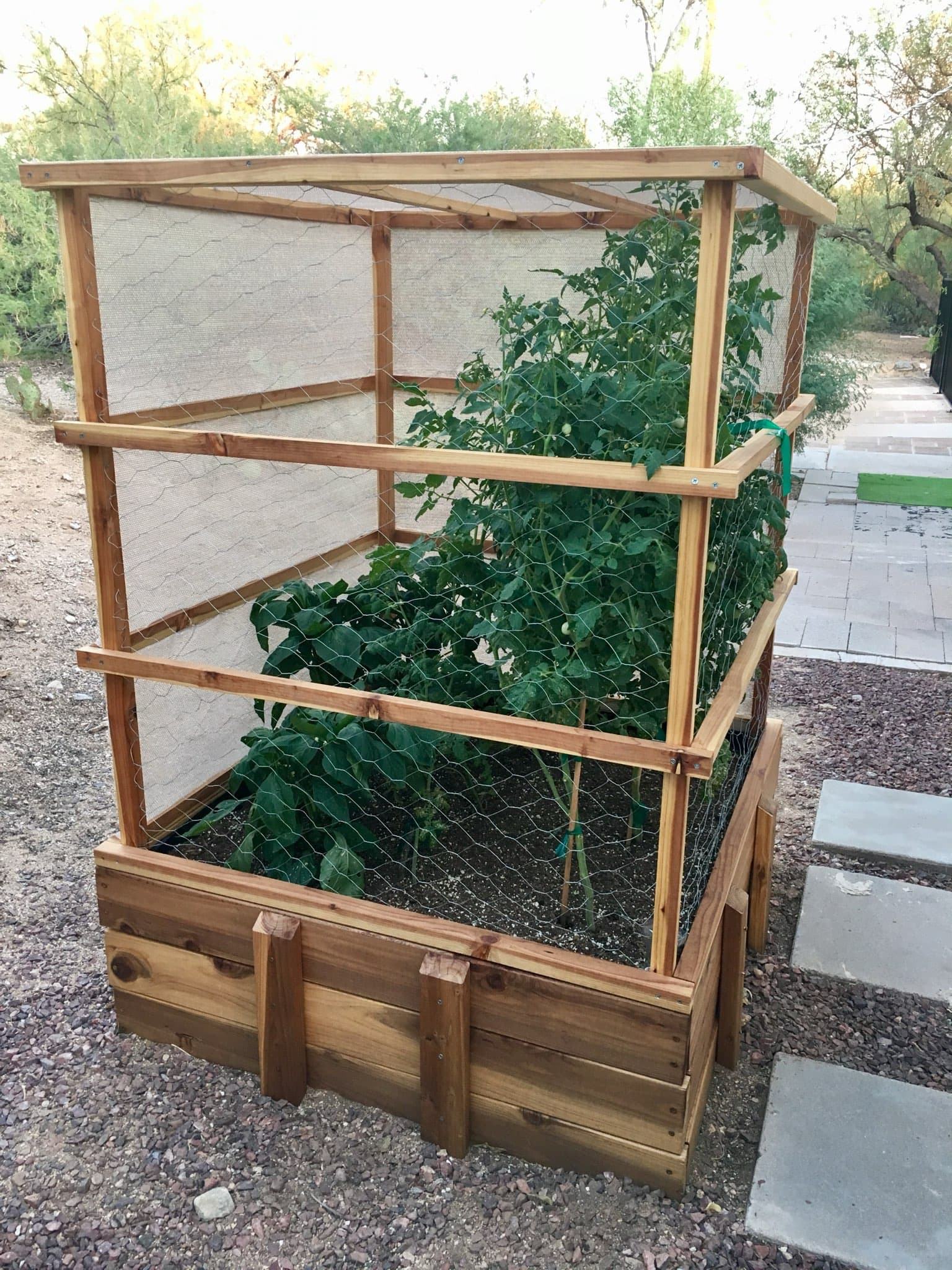 Raised garden bed at SGS Farms in Oro Valley, Arizona
